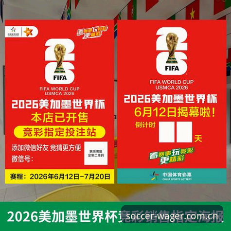 世界杯投注规则功能详解 2026世界杯投注规则功能详解——新版本带来的革命性体验